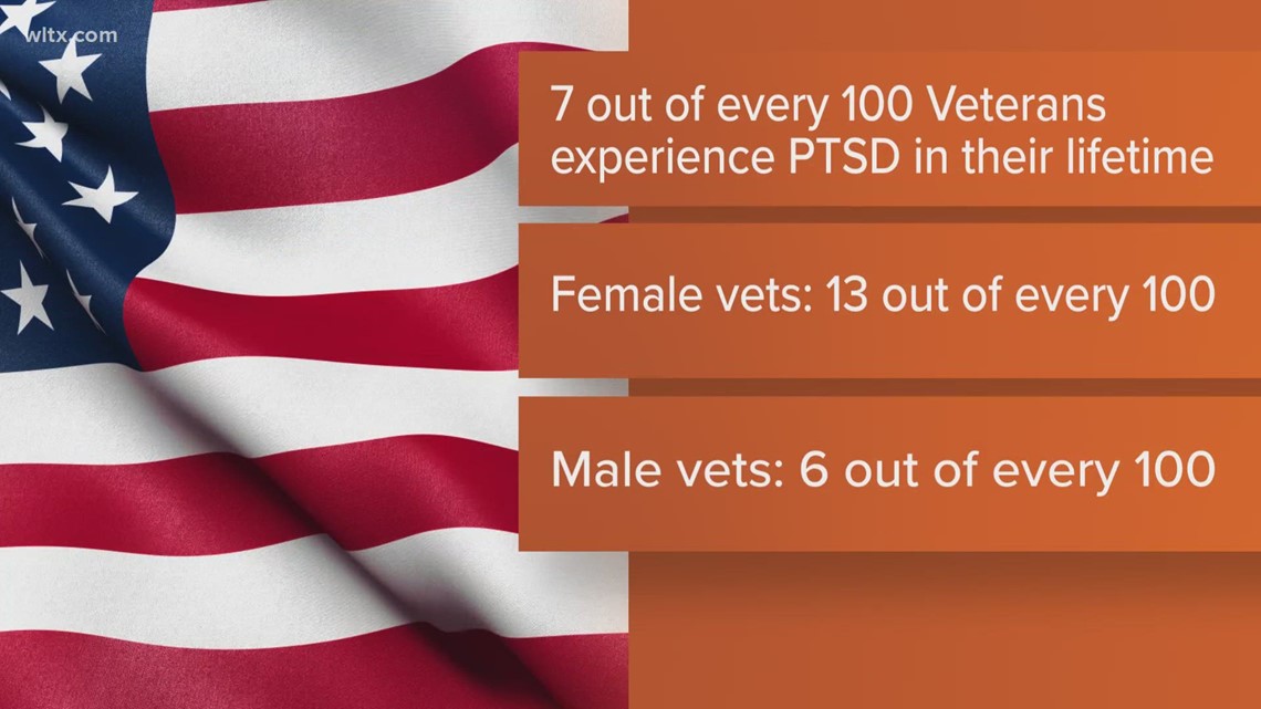 PTSD Awareness Month: Impacts On Veterans | Wltx.com