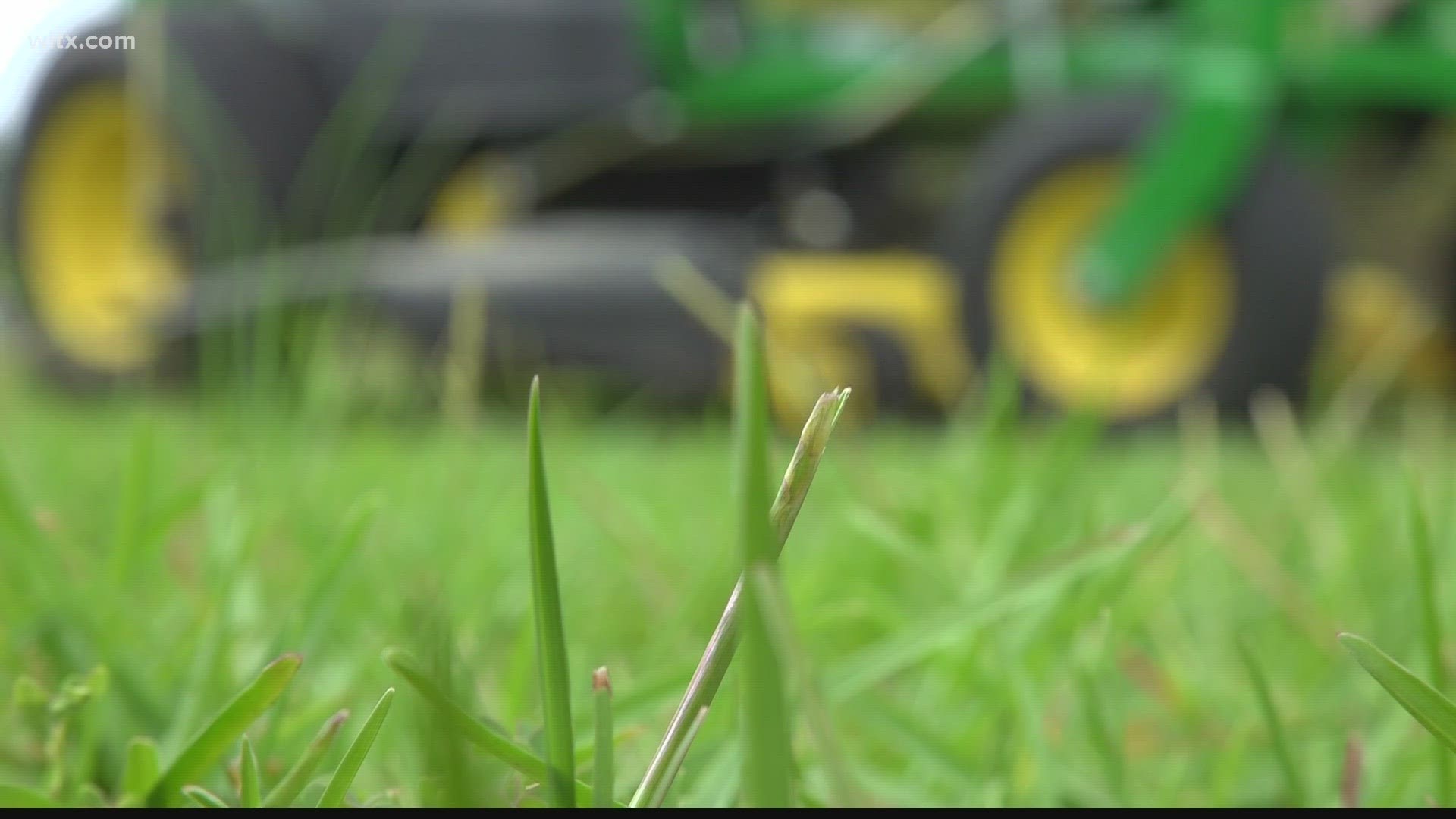 After the grass is mowed along Delree Street in West Columbia, residents say the clippings are not cleared from the road. Some are concerned about safety.