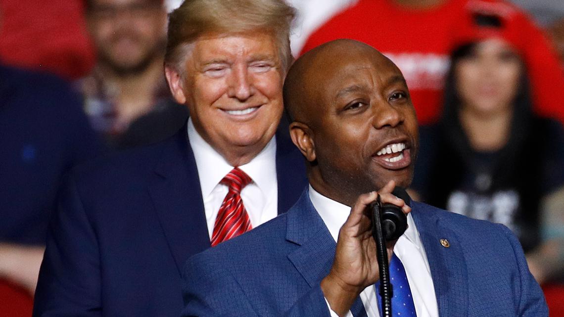 Tim Scott elected chair of Republican Senatorial Committee | wltx.com