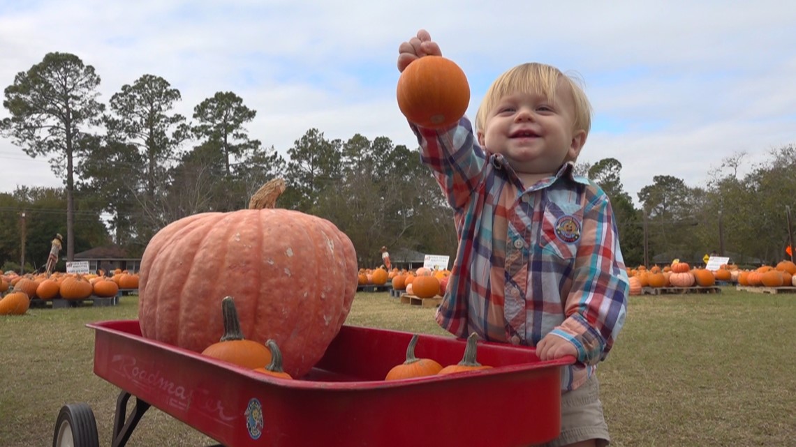 Sumter church donating pumpkin patch proceeds to local charities - Vimarsana News
