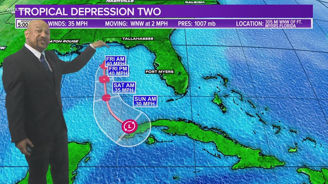 Tropics update: Tropical Depression Two forms in Gulf of Mexico | wltx.com