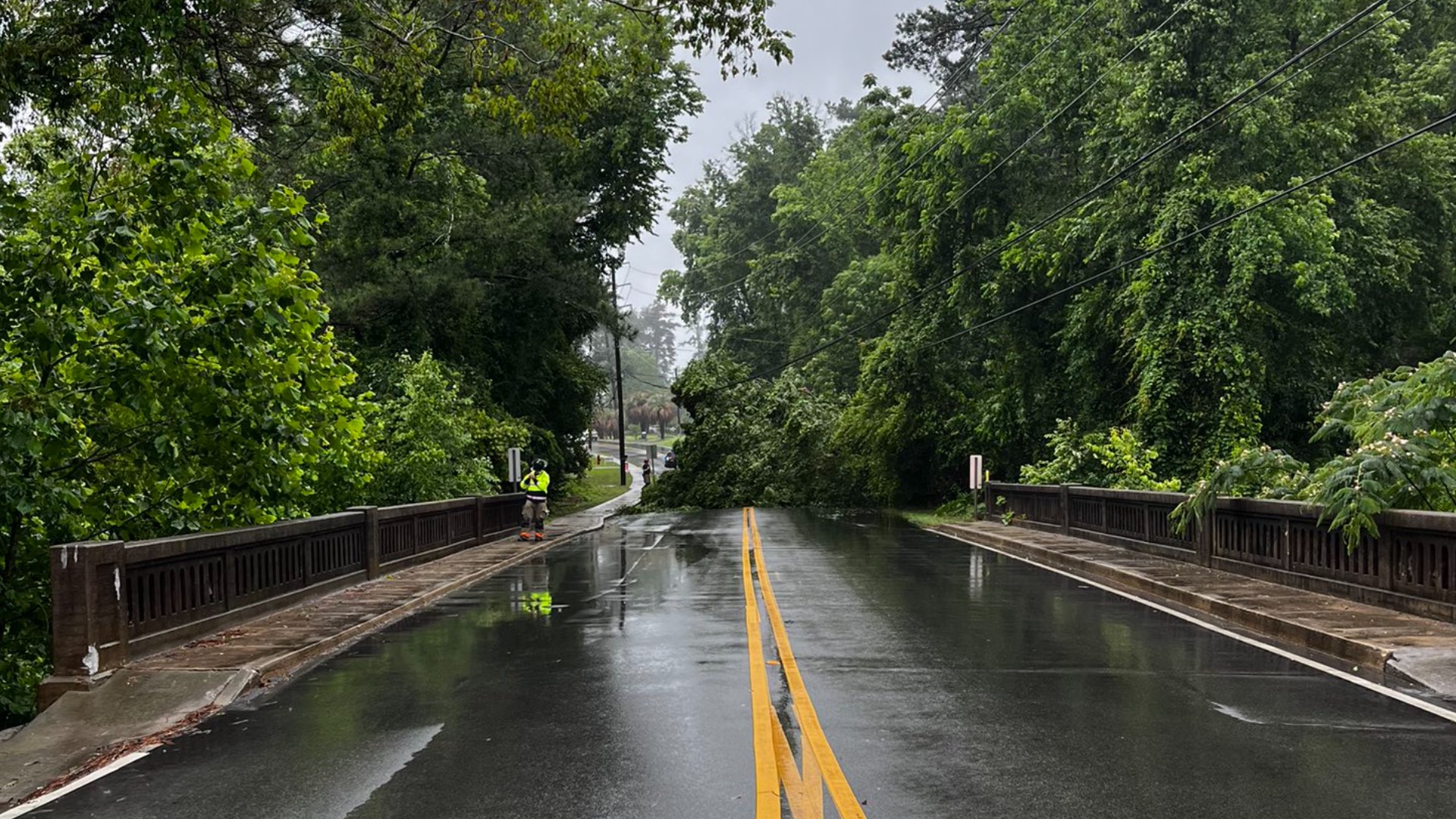 Tree down on South Lake Drive in Lexington, South Carolina