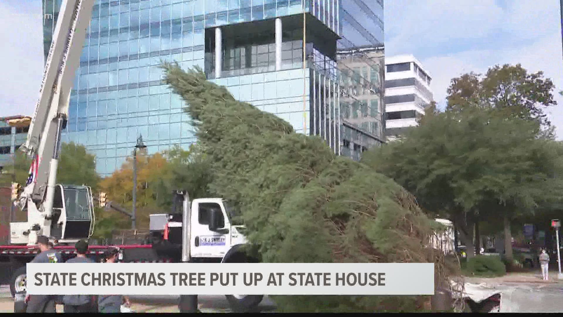 Official 2020 South Carolina Christmas tree arrived on North Lawn at State House Nov. 9