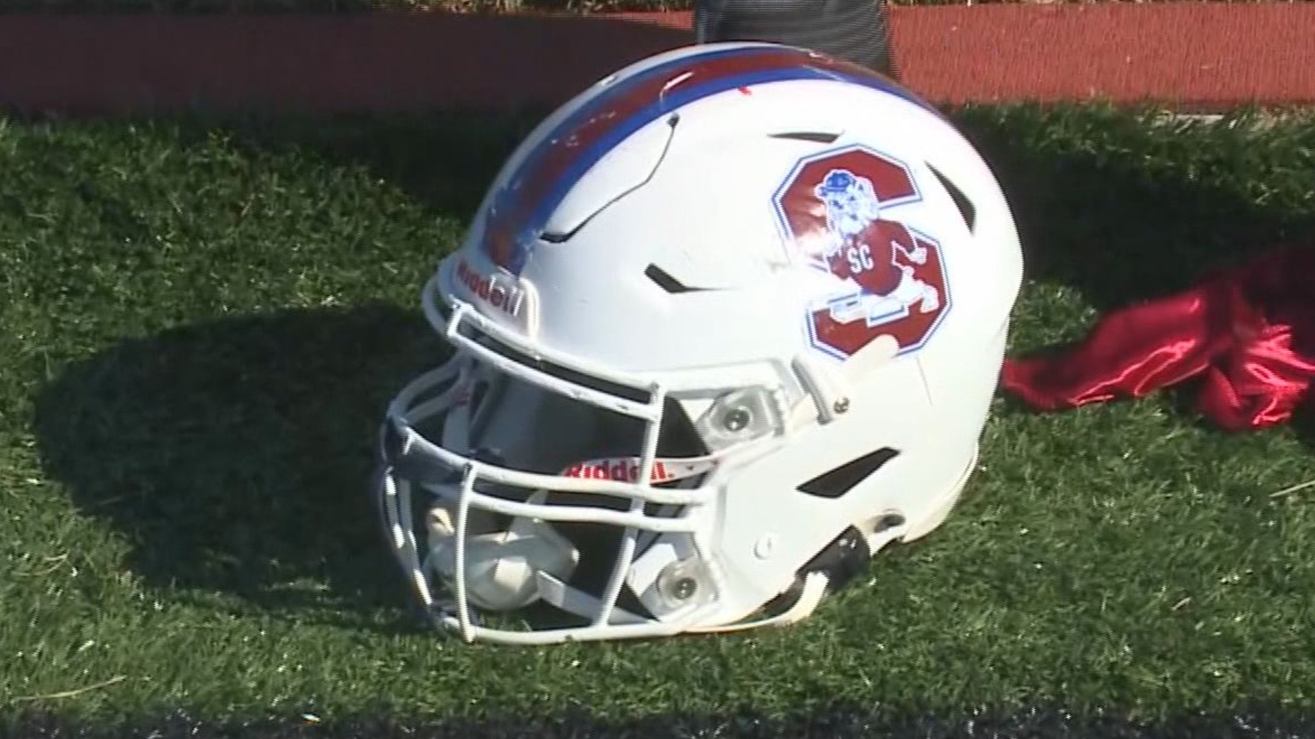 south carolina state football helmet