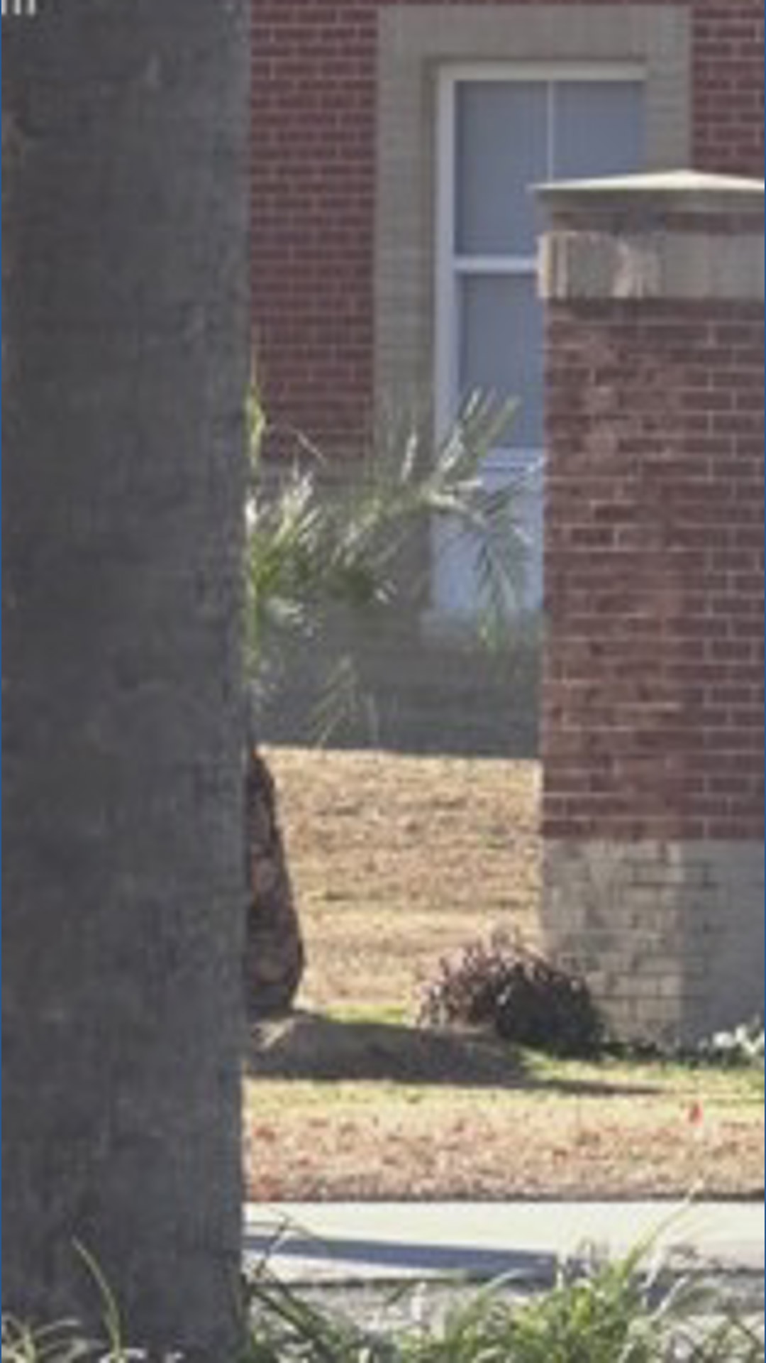 New rules at South Carolina State University days after fatal shooting ...