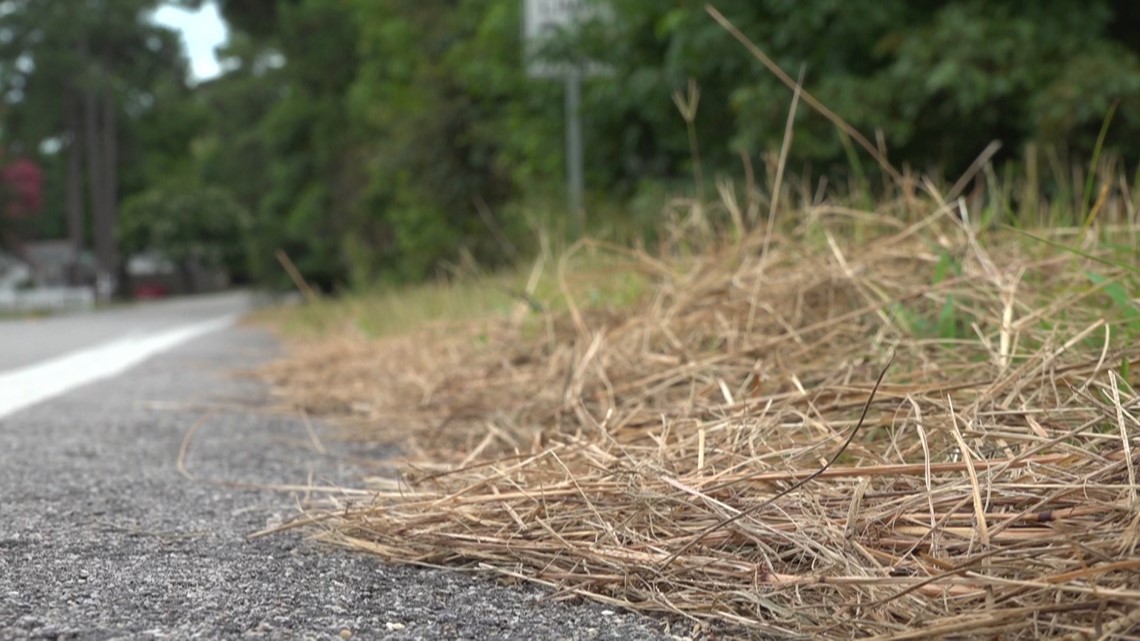 West Columbia residents concerned about grass clippings in road