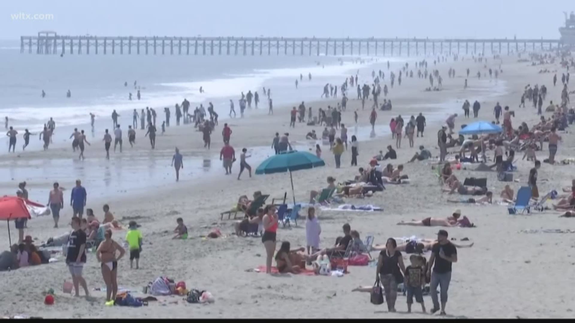 Some lifeguard companies also responsible for umbrella rentals, concessions along portions of Grand Strand beaches