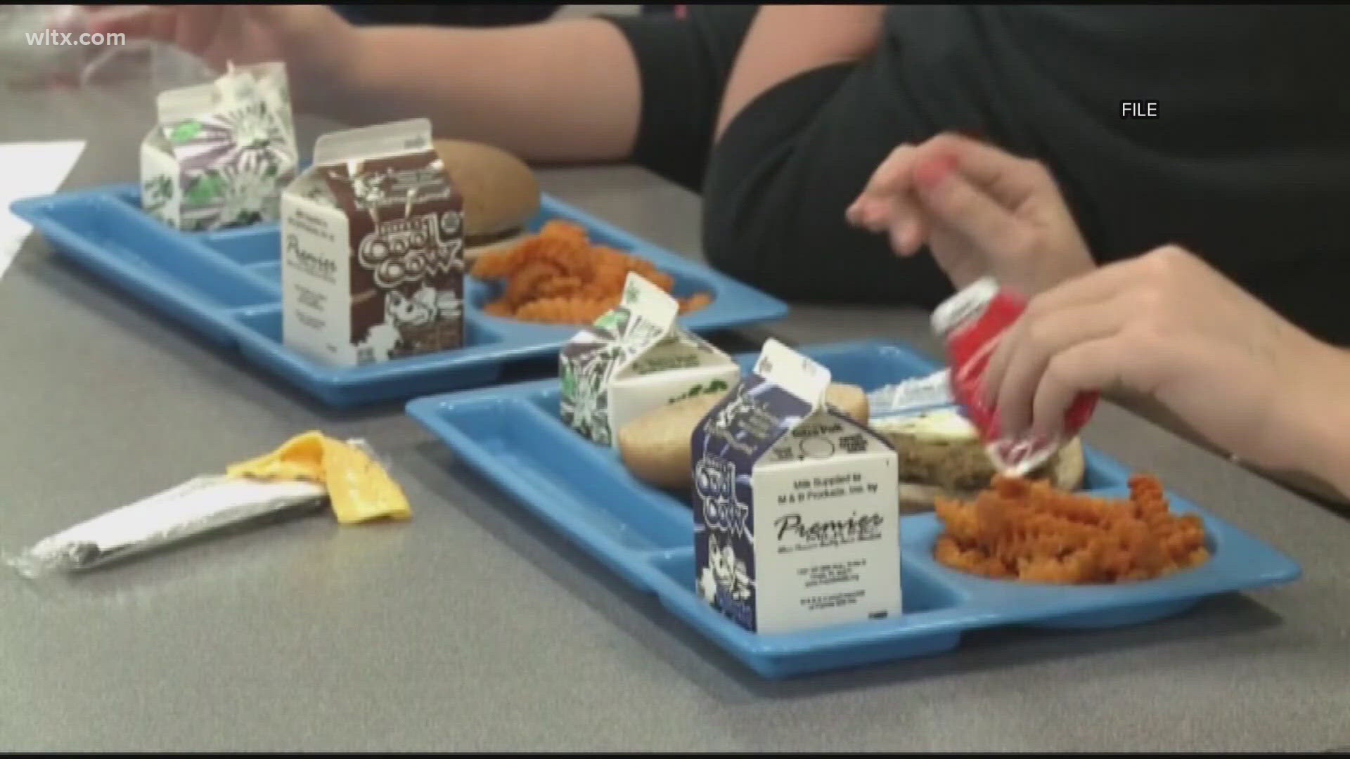 Many counties and school districts offer free summer lunches for kids.