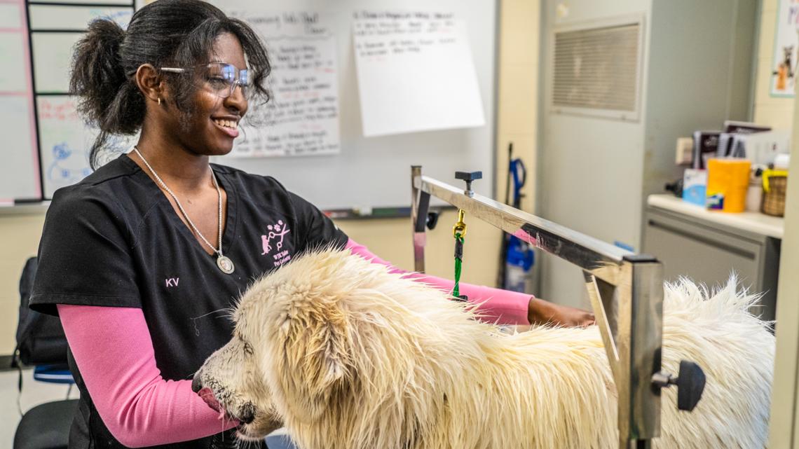 Community invited to dog grooming fundraiser at W.J. Keenan High School on Feb. 16