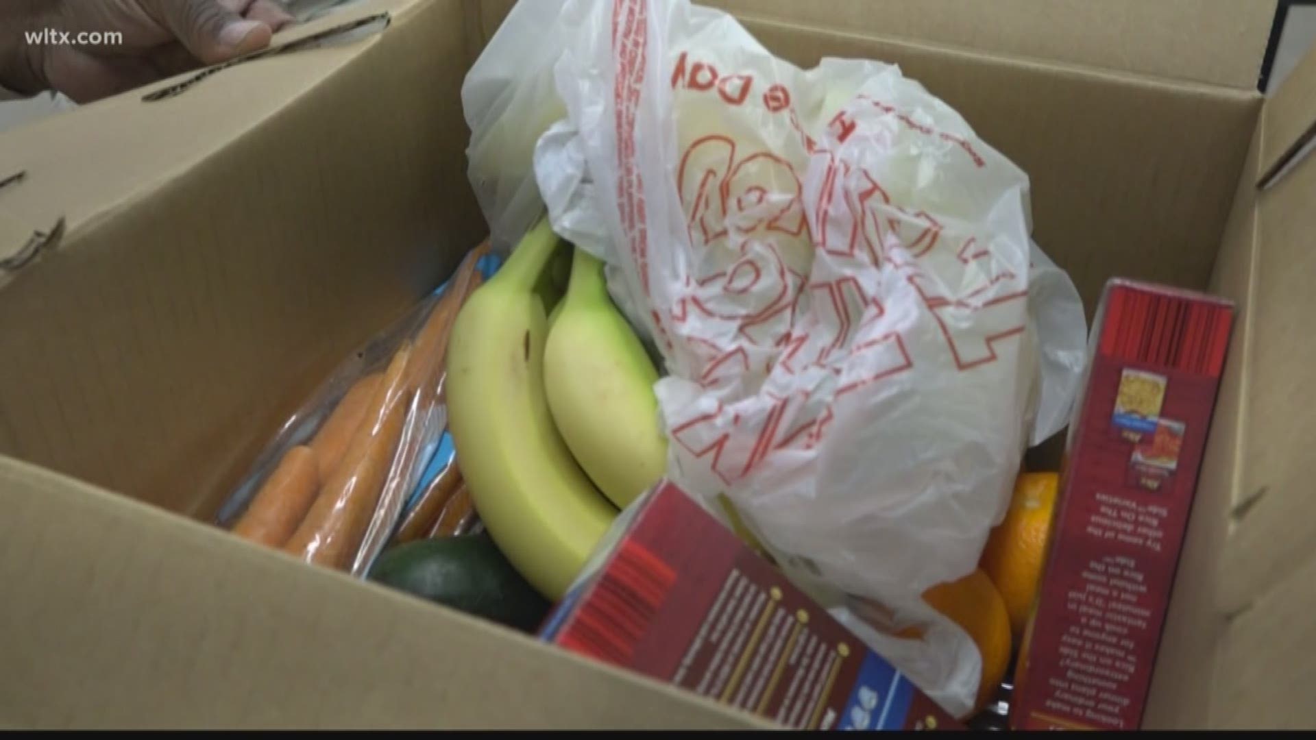 AARP and FoodShare teamed Wednesday up to give the residents of Allen Benedict Court a box filled with food.
