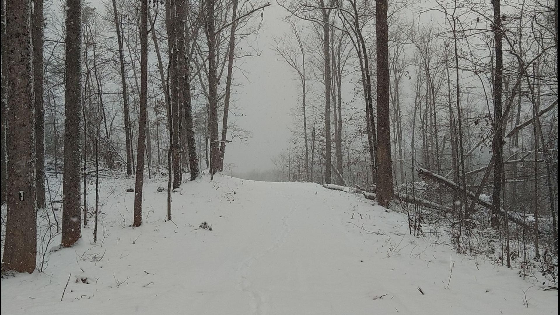 Snow In Midlands Photos: Scenes from the snow day in the Midlands: January 31 | wltx.com