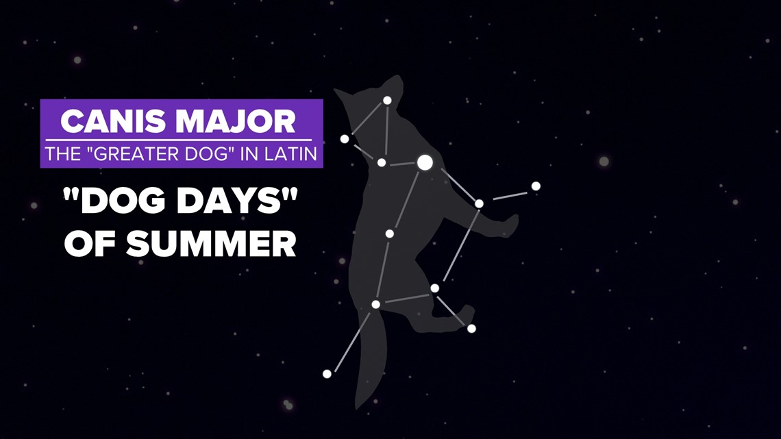 what are the dog days of summer mean