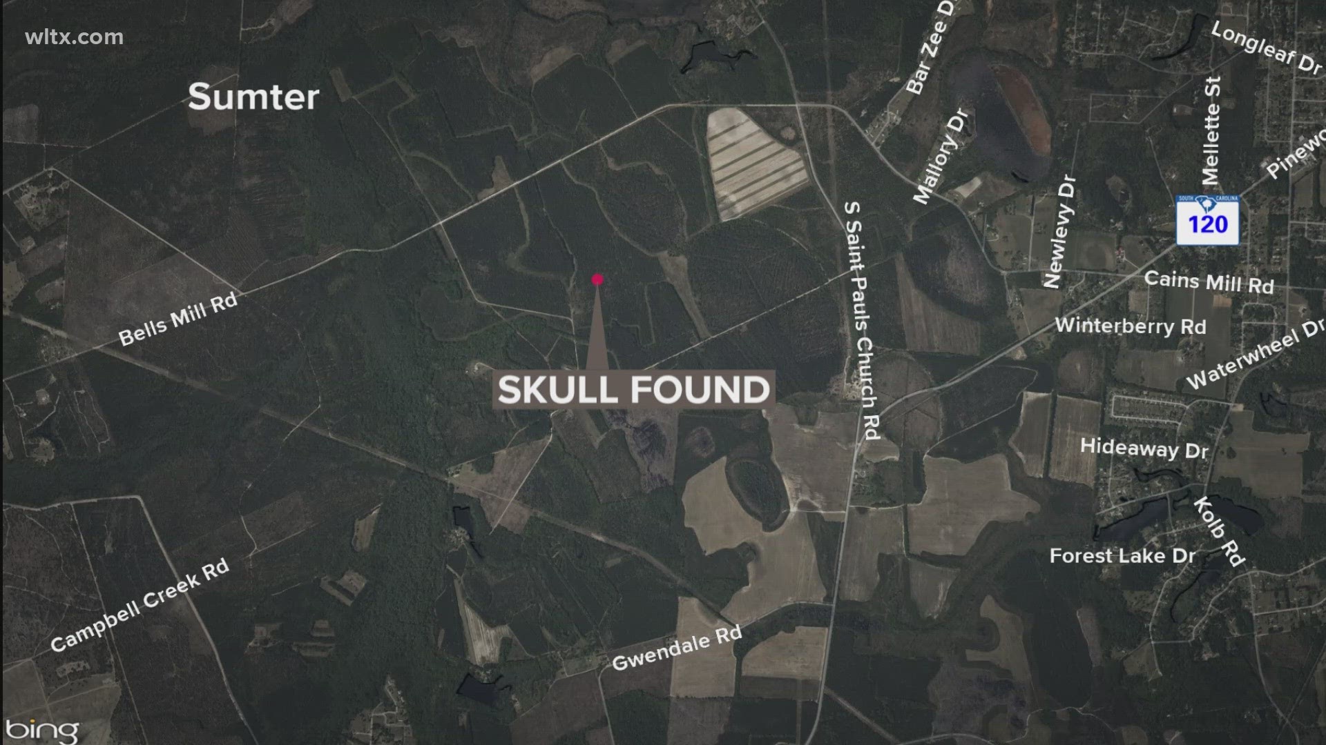 Deputies are trying to figure out the identify.  The skull is believed to be at least a decade old.