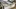 Groundwater contamination near Shaw AFB sparks concerns, prompting bottled water delivery and potential water system upgrades