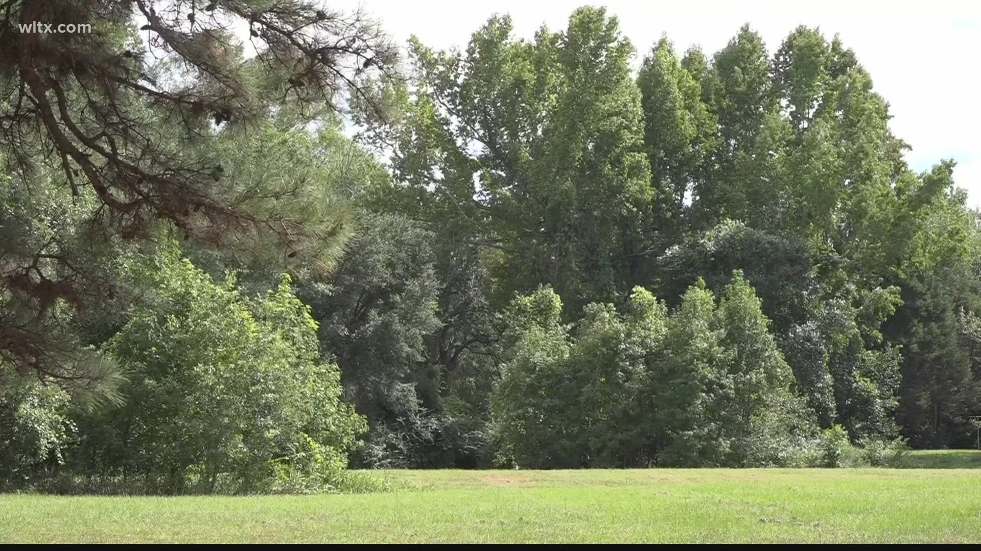 A grant from the Forestry Service will help SC State improve green spaces in some underserved communities.