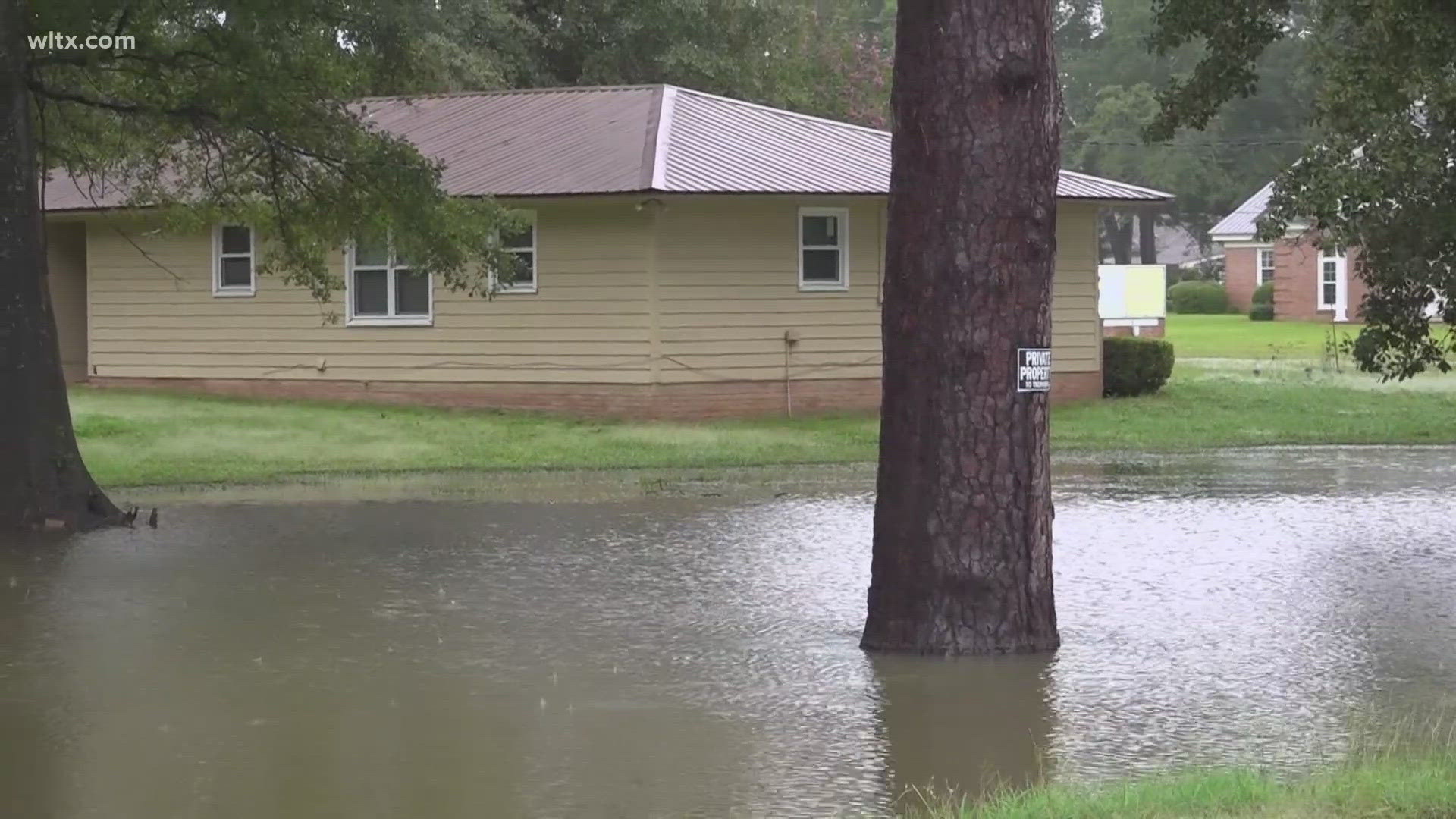 Tropical Storm Debby made its way through Sumter and residents are cleaning up.