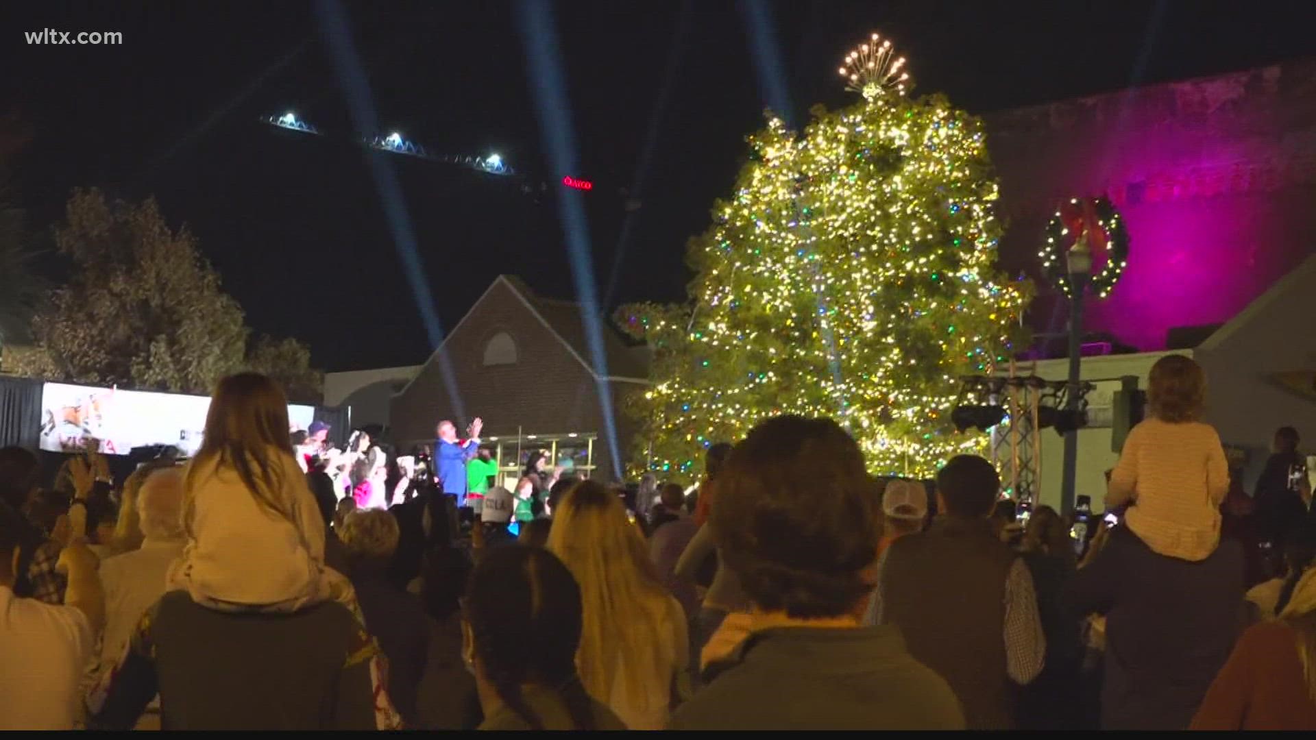 The 38th annual Vista lights celebration that included the lighting of the tree.