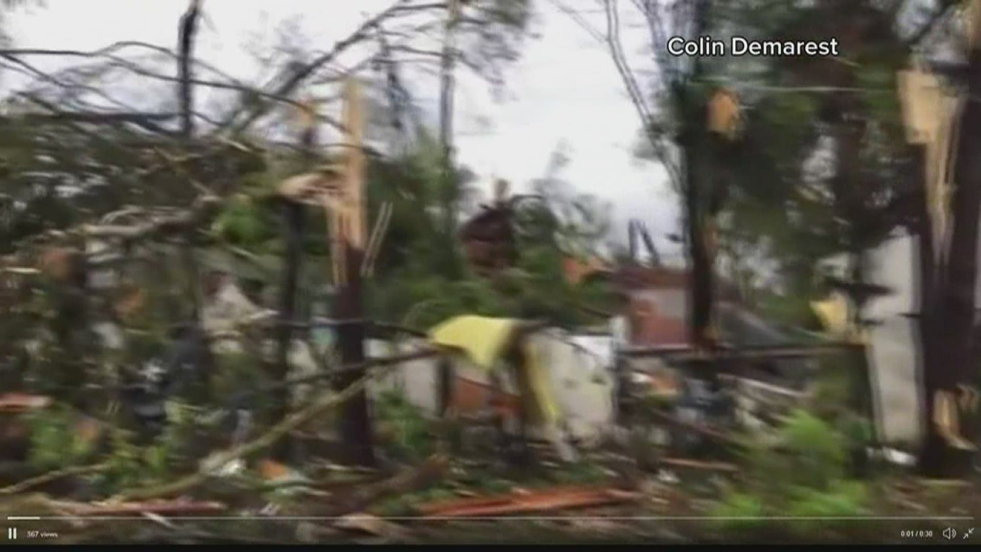 A powerful storm system likely spawned multiple tornadoes in South Carolina Monday morning, downing trees and causing damage here in the Midlands.