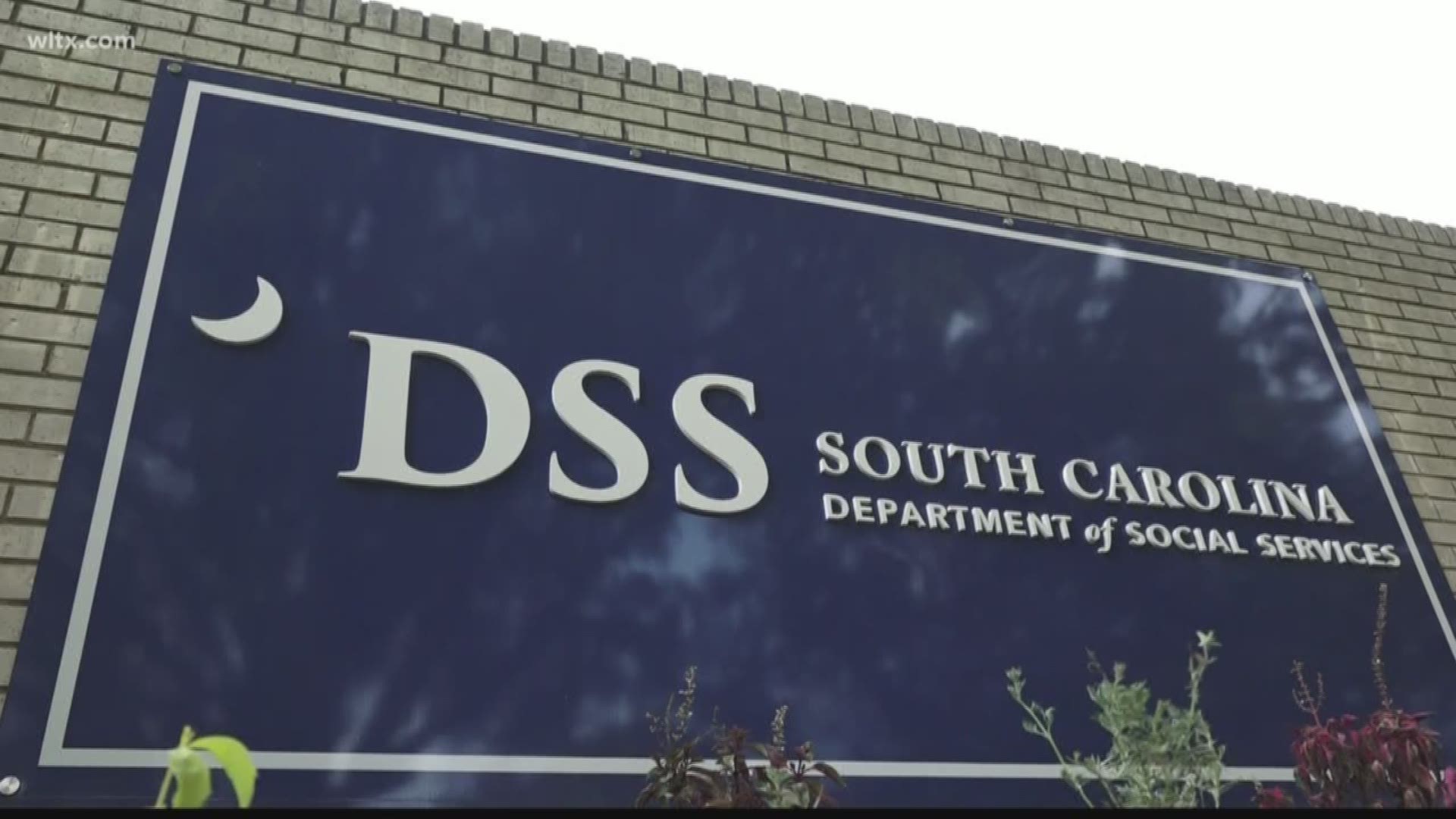 A new panel held its first meeting to begin the search for a new DSS Director.  News19's Loren Thomas reports.