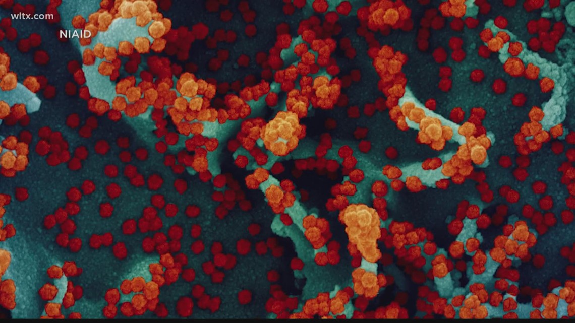 Greenville lab working to learn more about COVID-19 variants - Vimarsana News