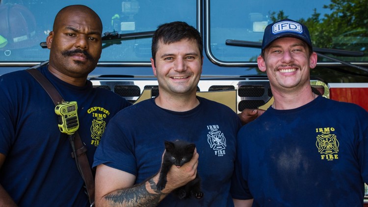 Irmo firefighters take apart portion of car to save stuck kitten