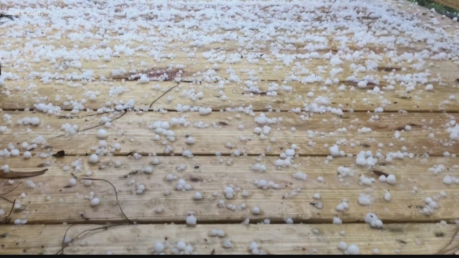 Views sent us video and photos of the pea and marble sized hail in the area.