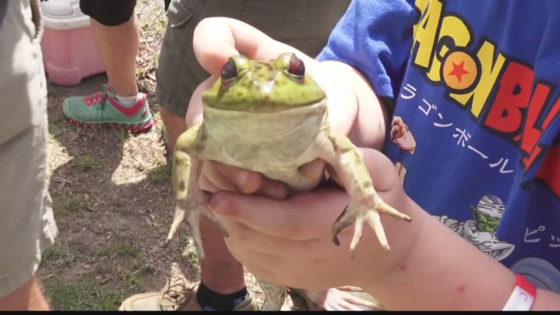 Small Town uses Governor's Frog Jump Festival to Reconnect