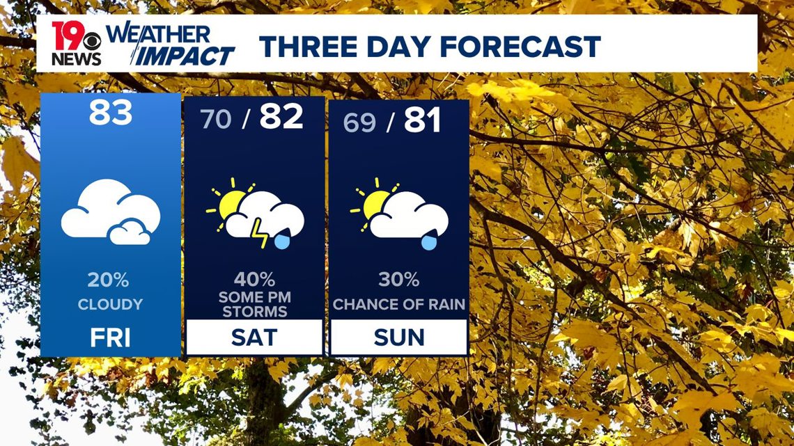 Cloudy with a few showers possible today | wltx.com