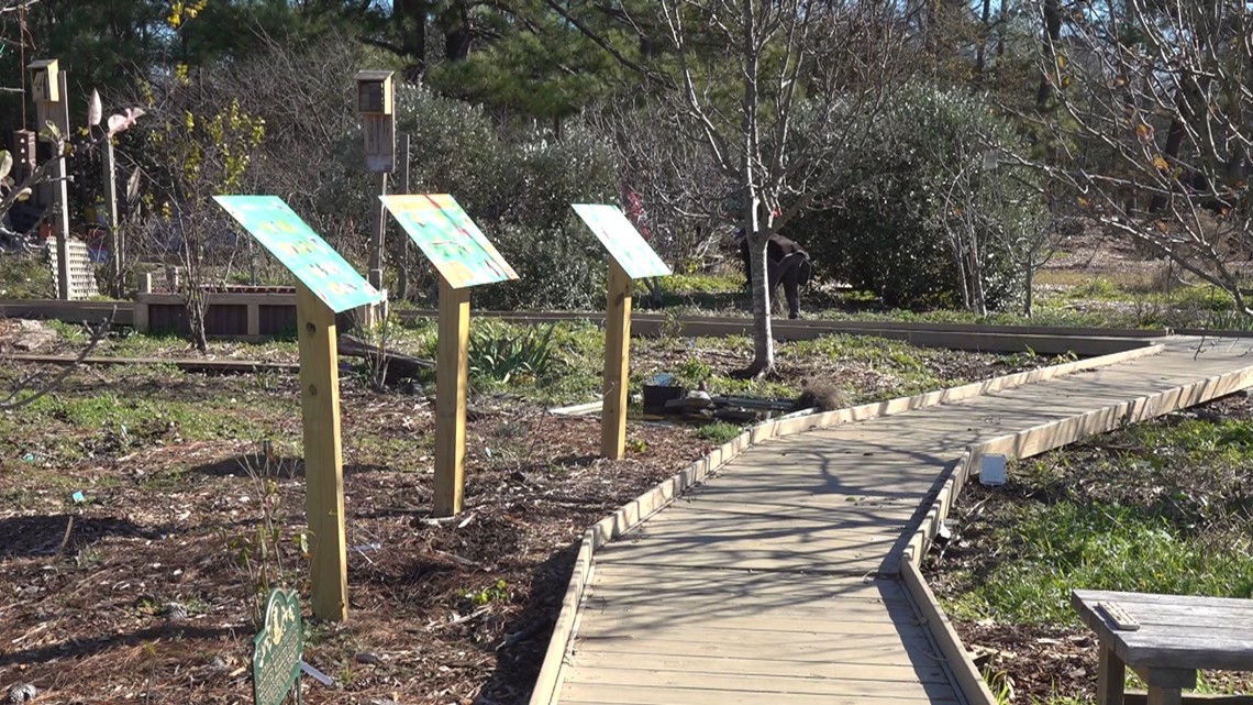 Rosewood Community Orchard raising funds for new access projects - Vimarsana News