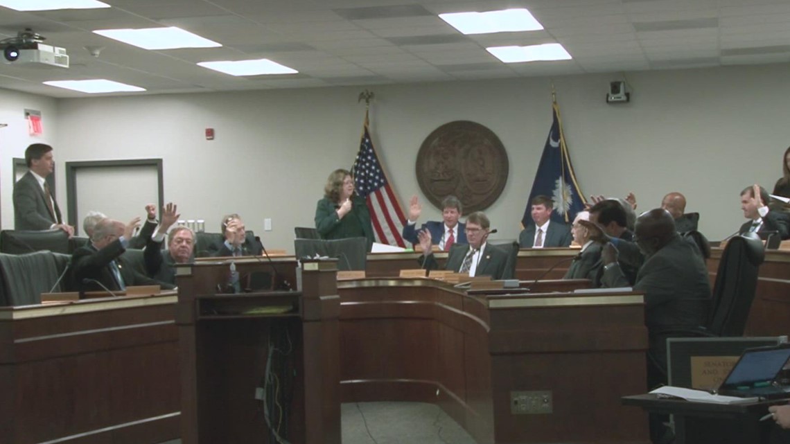 SC Senate Judiciary Subcommittee approves redistricting plans - Vimarsana News