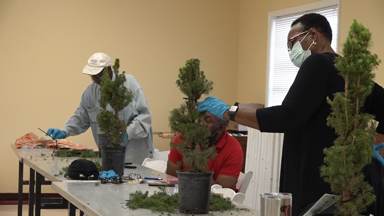 Columbia gardeners learn how to prune topiaries as part of free four-week gardening master class