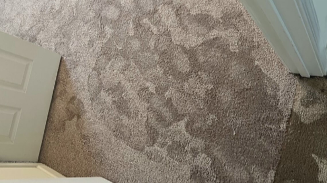 What are your rights as a tenant?