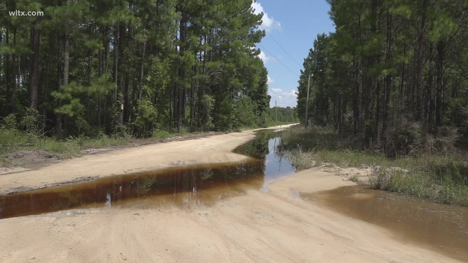 Roads remain closed in Bamberg County after Tropical Storm Debby passed through South Carolina last week.