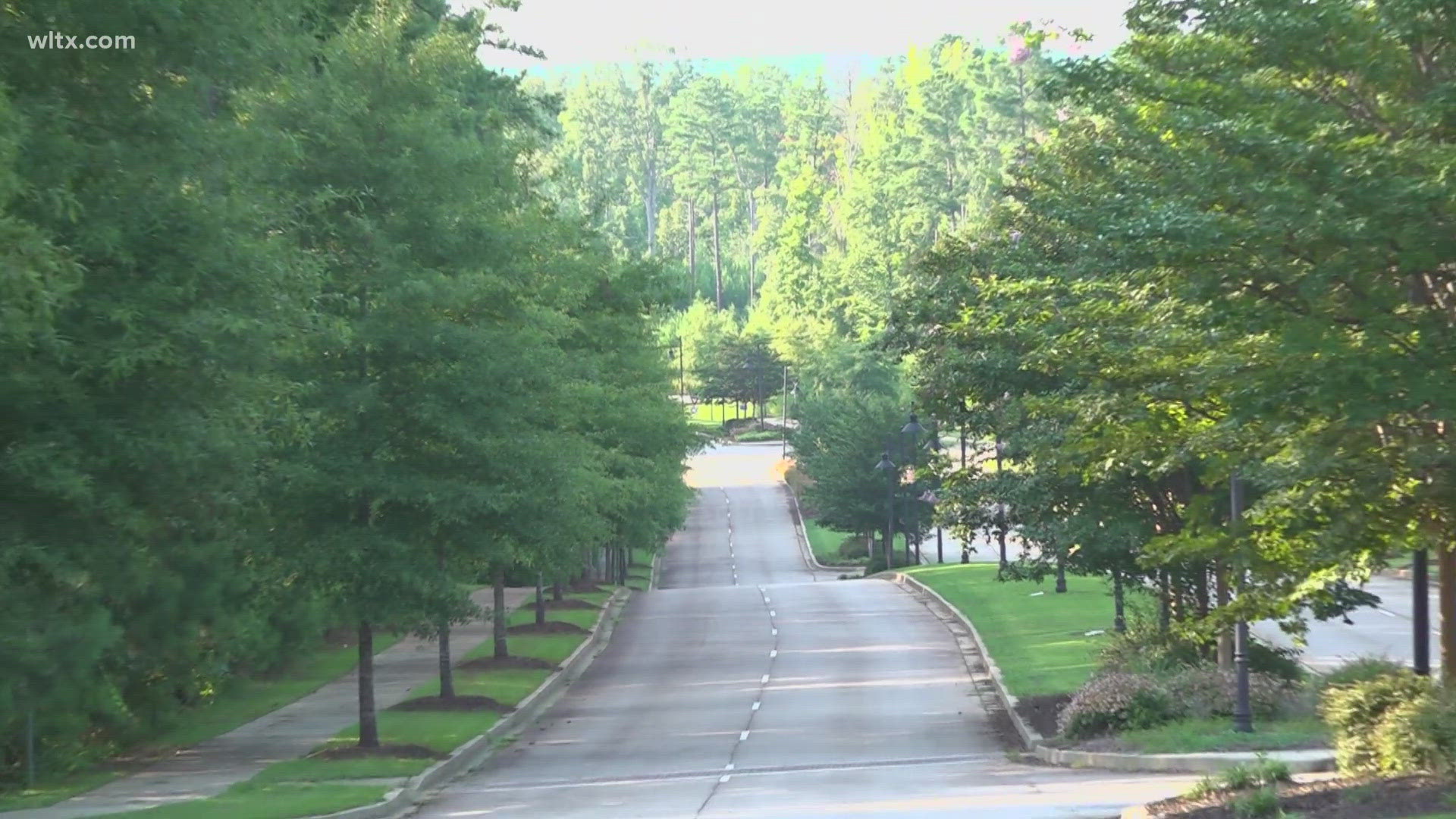 Chapin's Planning Commission reviewing details, making recommendations on proposed Brighton Development.