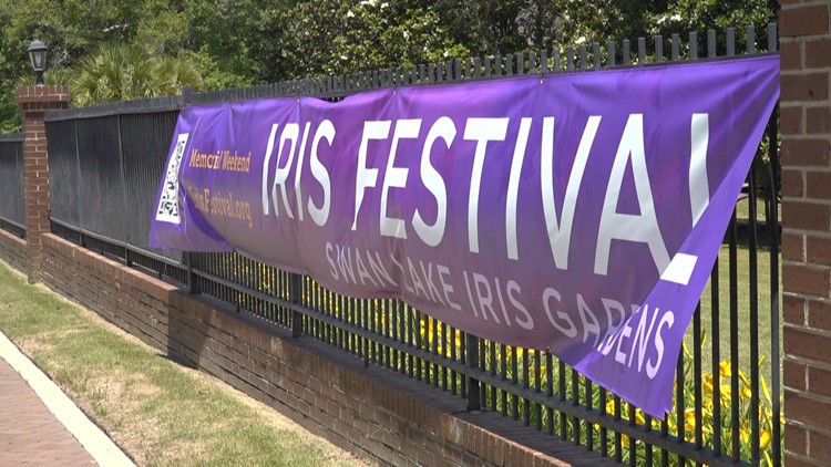 81st annual Iris Festival preparations underway at Swan Lake Iris Gardens