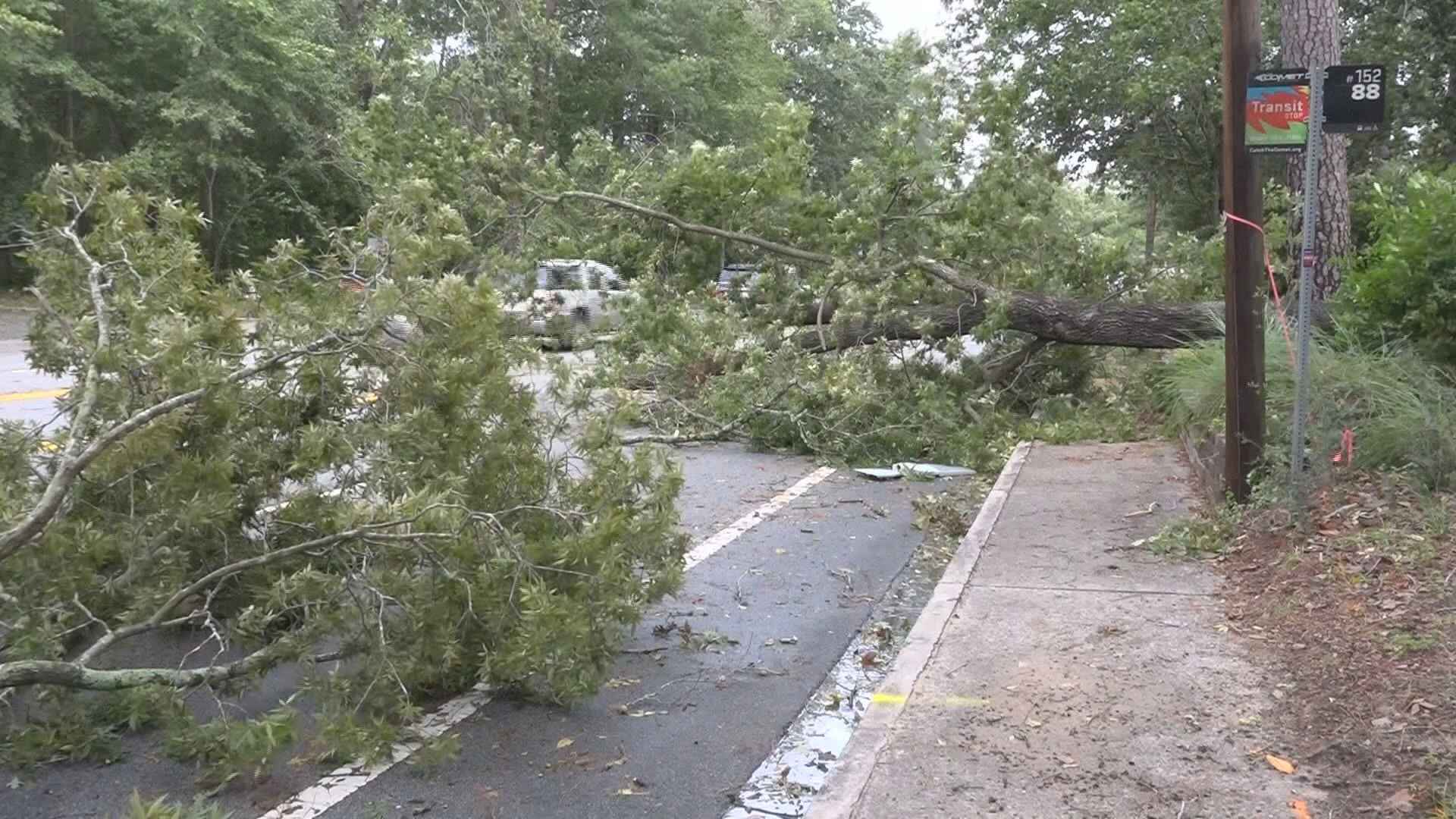 How to apply for FEMA assistance in South Carolina after Helene | wltx.com