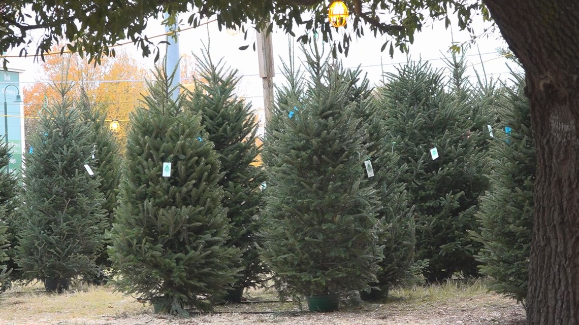 Christmas Trees Expected To Be Smaller, Harder To Find | Wltx.com