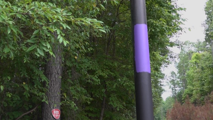 Purple paint is the new sign for no trespassing in SC