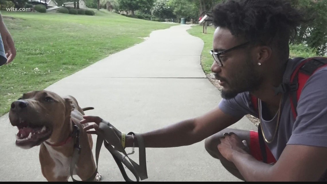 West Columbia moves forward with new dog park