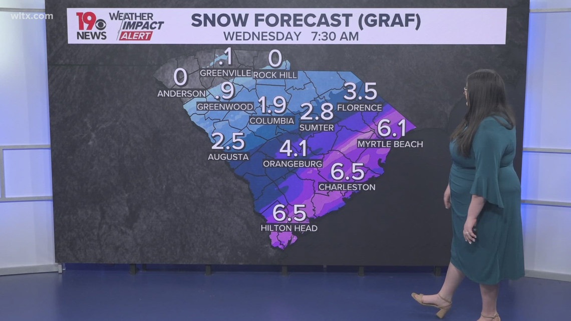 South Carolina snow forecast: Totals could get high in some areas | wltx.com