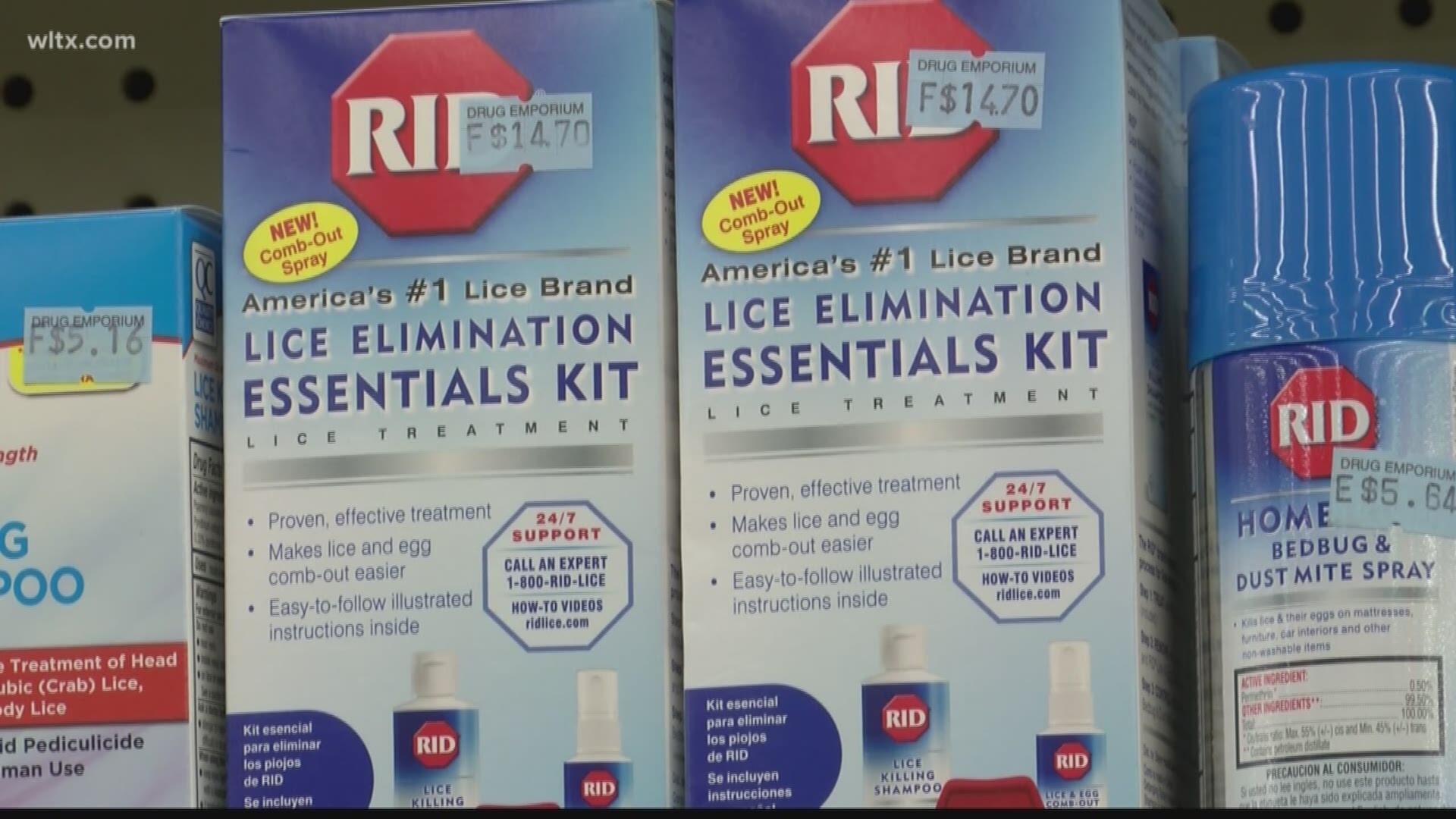 Dr. Peter Bailey from Lexington Medical Center shares tips to treat head lice.