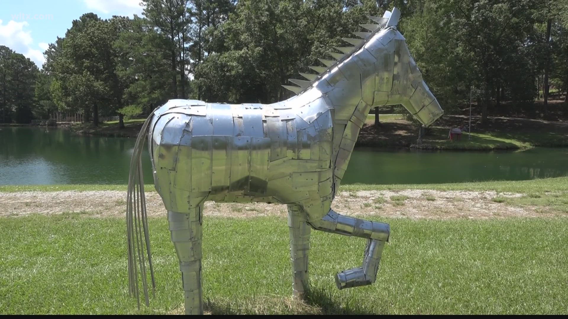 The life size horses, ten total, were made by  Eddie Stevens who says its been great for his mental health.