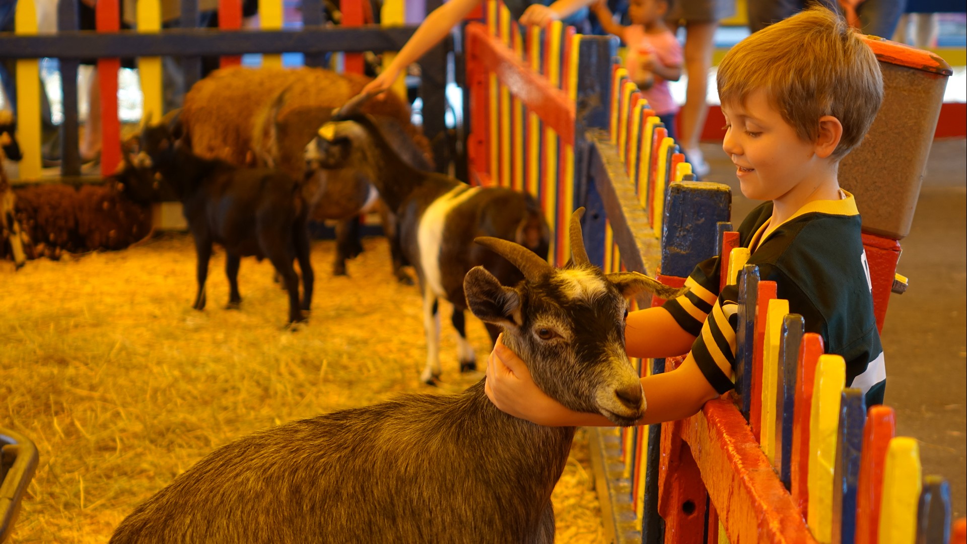 Here'a look at the best sights and images from day one of the South Carolina State Fair.