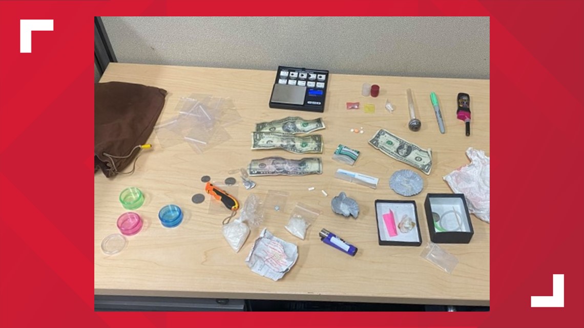 Woman arrested after drugs found during traffic stop, deputies say ...