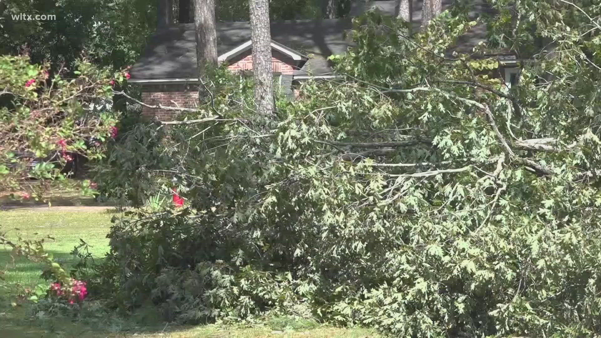 A disaster survivor assistance program will be at the Lexington County Public Library's main branch on Augusta Road this weekend.