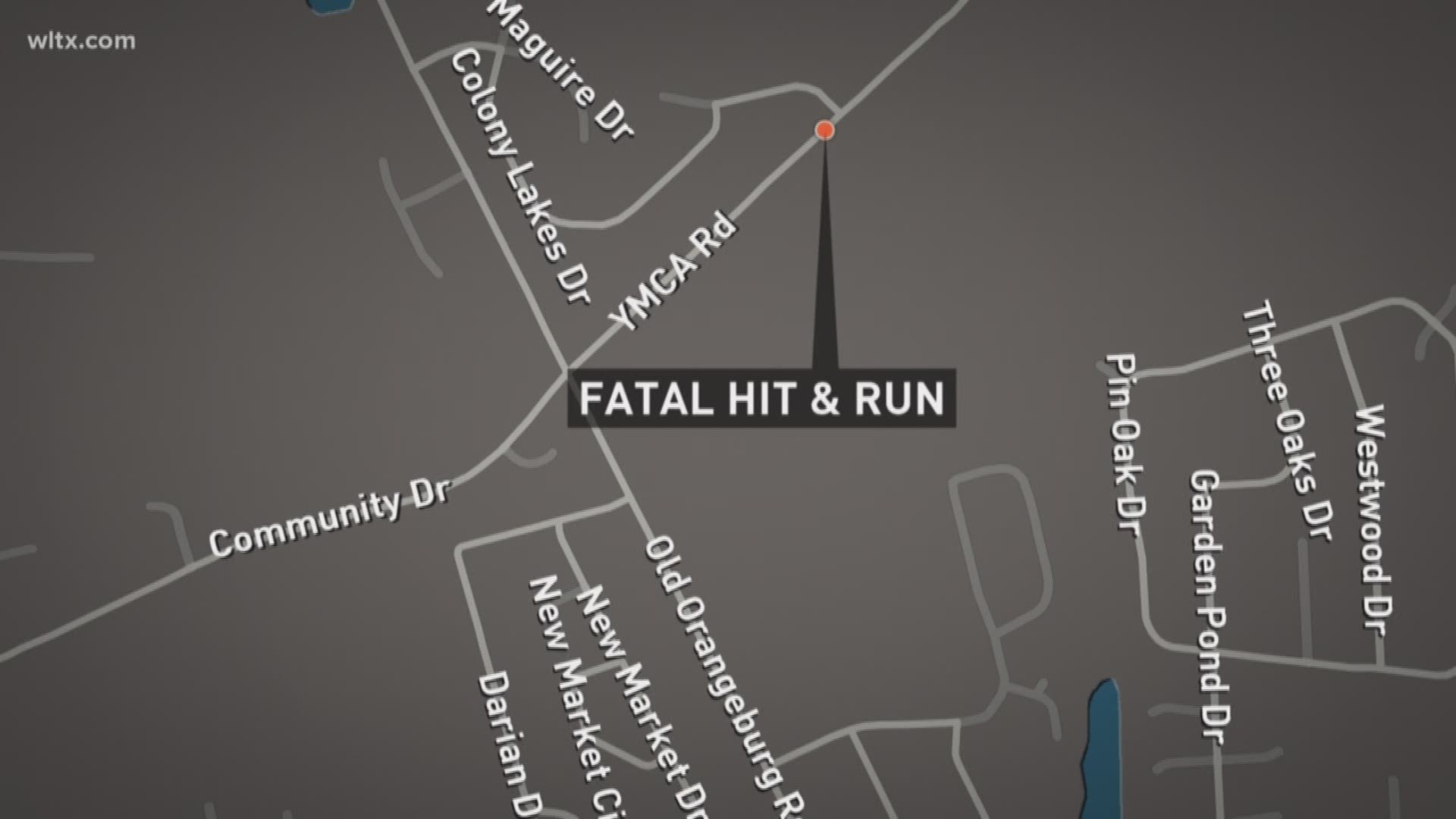 The South Carolina Highway Patrol is investigating a deadly hit-and-run in Lexington County.
