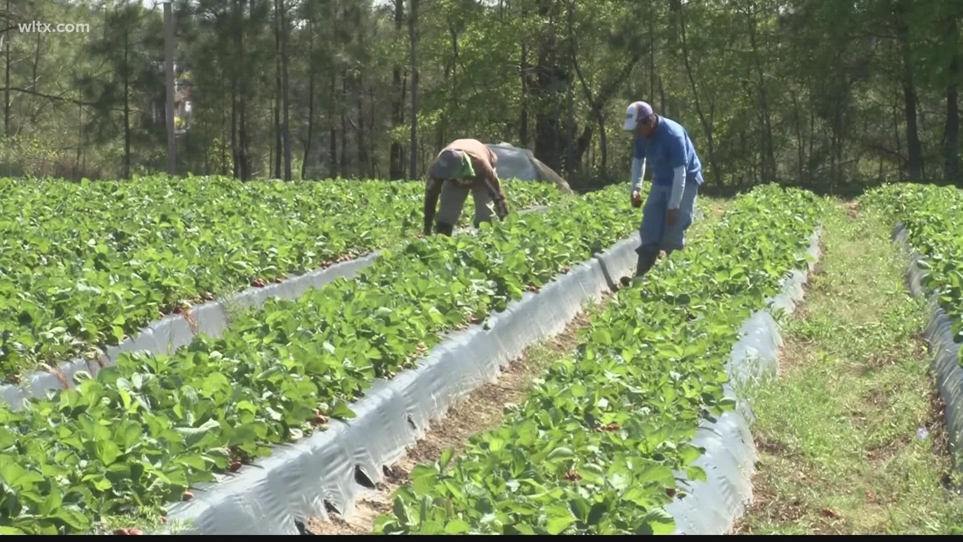 The non-profit looks to help minority farmers apply for grants.
