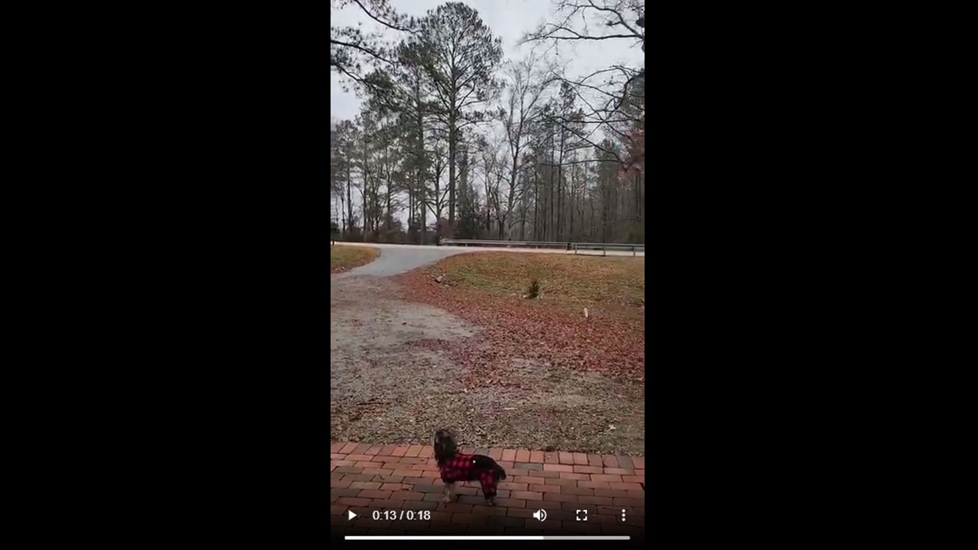 Weather Watcher Lindsay Lyons' video form Lugoff, SC