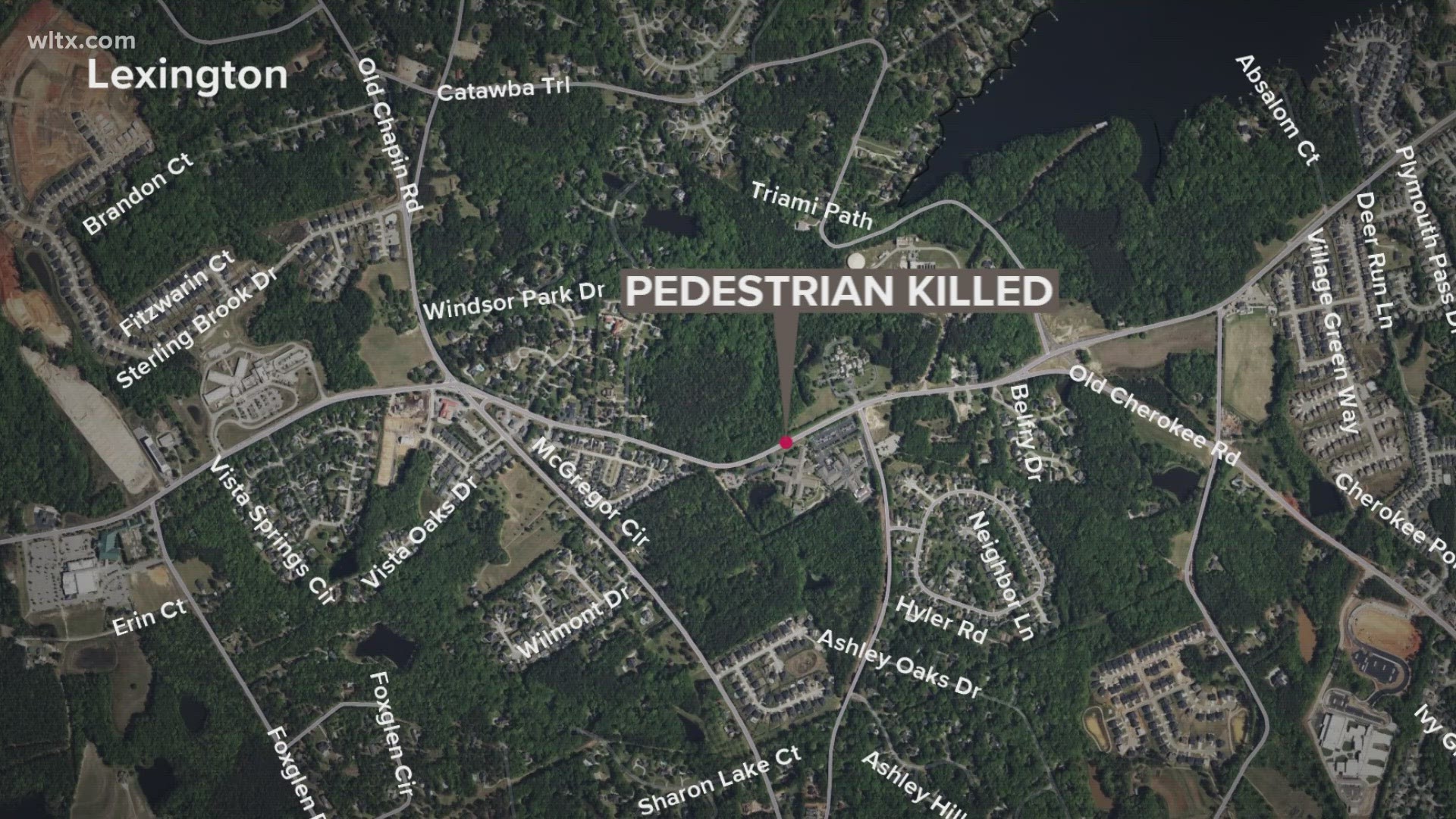 Pedestrian killed in Lexington county accident | wltx.com