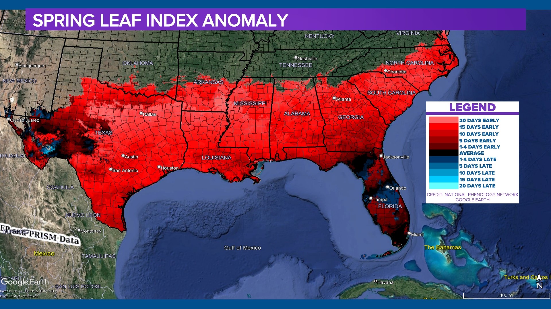spring-is-arriving-early-again-in-the-southeast-u-s-wltx